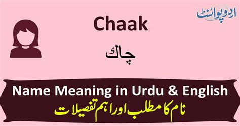 slits meaning in urdu|Slits Meaning in Urdu Chaak چاک .